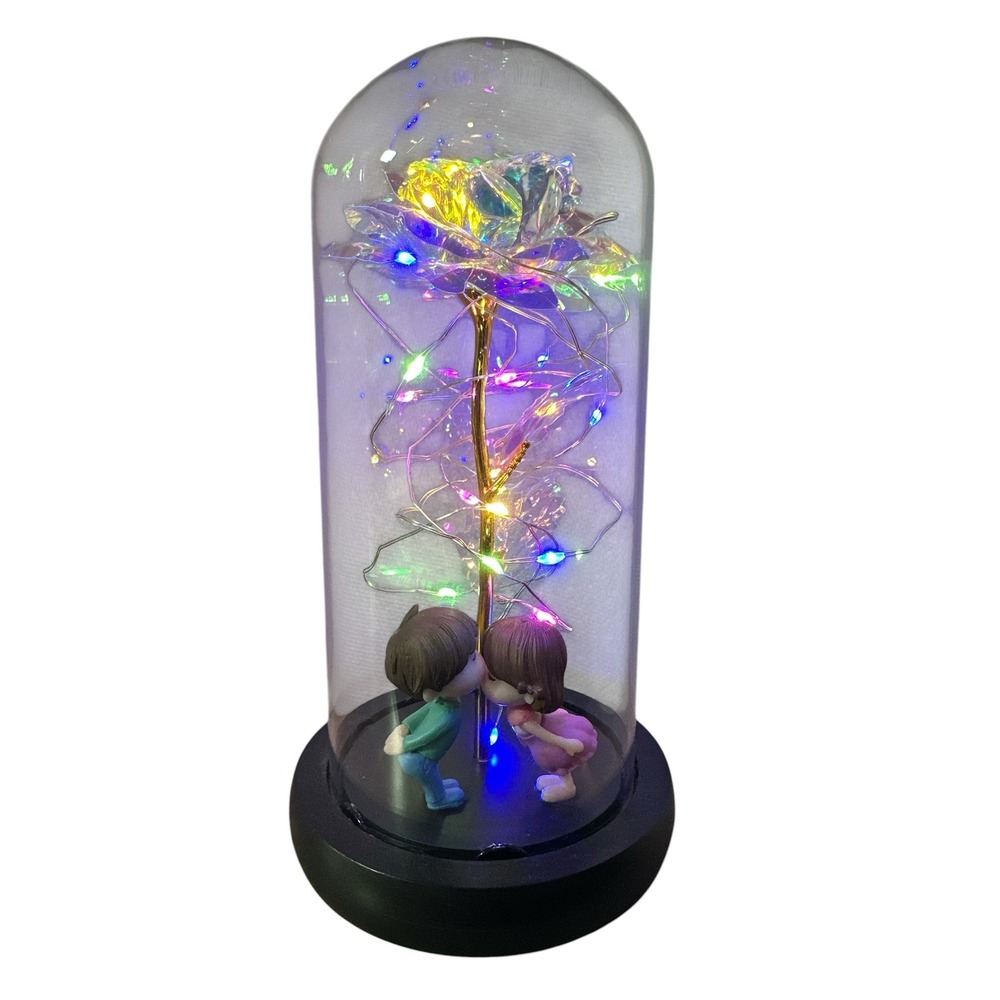 Galaxy Rose in Glass Dome w/ Kissing Couple LED Fairy Lights Romantic Gift Decor